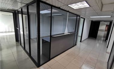 Oficina Edificio Alegre - 110m2 - Varias opciones - Cangrejo - JAC