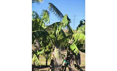 SEA CONFIABLE VENDE TERRENO CON CASA EN AGUADULCE