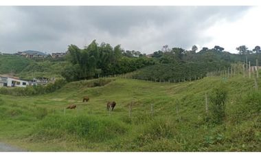 Lote urbano en venta, Chinchiná, Caldas