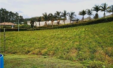 Finca - lote en venta en El Carmen de Viboral