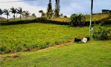 Finca - lote en venta en El Carmen de Viboral