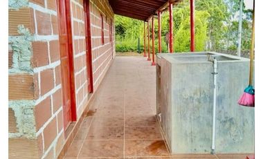 Finca - lote en venta en El Carmen de Viboral