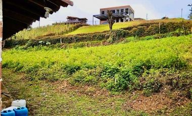 Finca - lote en venta en El Carmen de Viboral