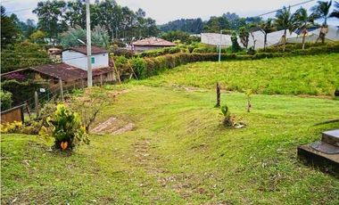 Finca - lote en venta en El Carmen de Viboral