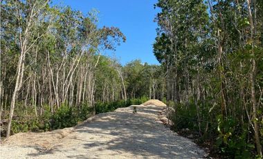 Venta Terreno Ecológico Cancun. El Pedregal 3000m2 1.1 MDP