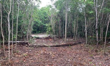 Venta Terreno Ecológico Cancun. El Pedregal 3000m2 1.1 MDP