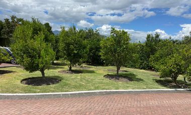 HERMOSA QUINTA CON PISCINA EN VENTA EN YUNGILLA