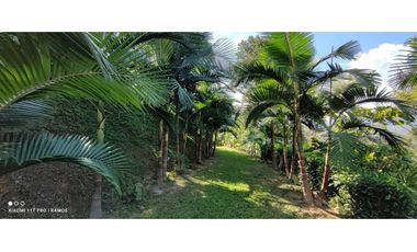 GRAN OPORTUNIDAD DE VIVIR RODEADO DE CAMPO EN COPACABANA