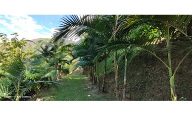 GRAN OPORTUNIDAD DE VIVIR RODEADO DE CAMPO EN COPACABANA