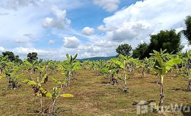 Land for sale in San Sai, Chiang Rai