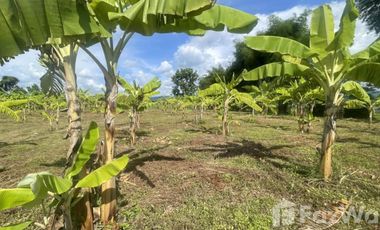 Land for sale in San Sai, Chiang Rai
