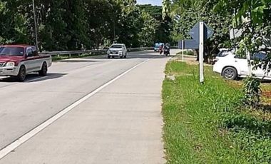 Land for sale in San Sai, Chiang Rai