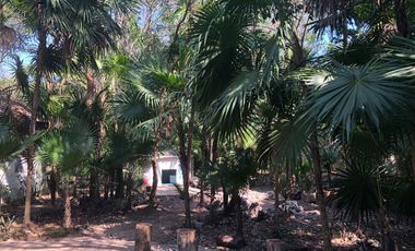 VENDO TERRENO EN PUERTO MORELOS QUINTANA ROO