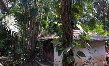 VENDO TERRENO EN PUERTO MORELOS QUINTANA ROO