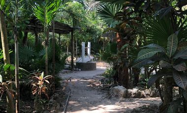VENDO TERRENO EN PUERTO MORELOS QUINTANA ROO
