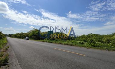 TERRENO EN VENTA EN CARRETERA TUXPAN TAMPICO