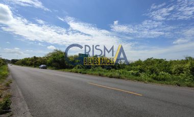 TERRENO EN VENTA EN CARRETERA TUXPAN TAMPICO