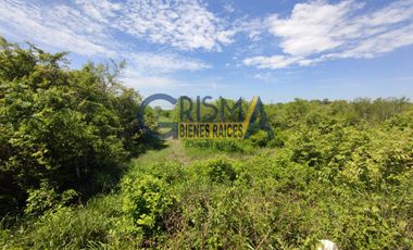 TERRENO EN VENTA EN CARRETERA TUXPAN TAMPICO