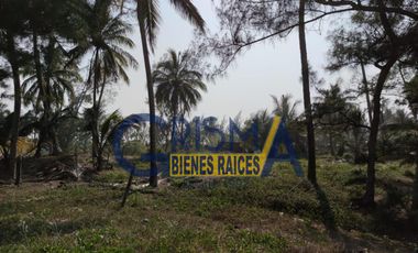 TERRENO EN VENTA  EN LA PLAYA CON FRENTE AL MAR