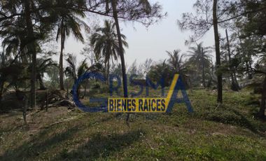TERRENO EN VENTA  EN LA PLAYA CON FRENTE AL MAR