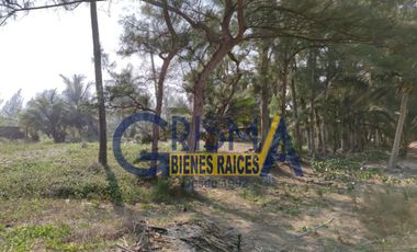 TERRENO EN VENTA  EN LA PLAYA CON FRENTE AL MAR