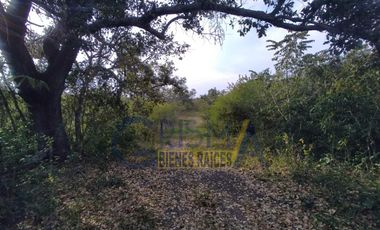 HERMOSO RANCHO EN VENTA UBICADO EN EL KILÓMETRO 7 DE LA CARRETERA QUE CONECTA LA VICTORIA CON CAZONES