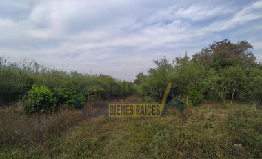 HERMOSO RANCHO EN VENTA UBICADO EN EL KILÓMETRO 7 DE LA CARRETERA QUE CONECTA LA VICTORIA CON CAZONES