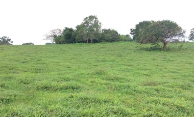 RANCHO EN VENTA EN TAMIAHUA, VERACRUZ