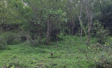 RANCHO EN VENTA EN TAMIAHUA, VERACRUZ