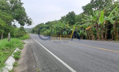 RANCHO EN VENTA EN TEMAPACHE SOBRE CARRETERA A TAMPICO
