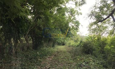 RANCHO EN VENTA EN TEMAPACHE SOBRE CARRETERA A TAMPICO