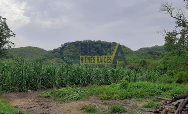 RANCHO EN VENTA EN TEMAPACHE SOBRE CARRETERA A TAMPICO