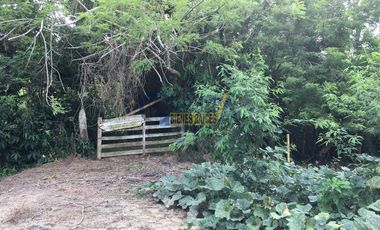 RANCHO EN VENTA EN TEMAPACHE SOBRE CARRETERA A TAMPICO