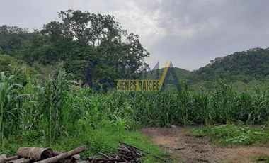 RANCHO EN VENTA EN TEMAPACHE SOBRE CARRETERA A TAMPICO