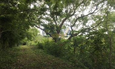 RANCHO EN VENTA EN TEMAPACHE SOBRE CARRETERA A TAMPICO