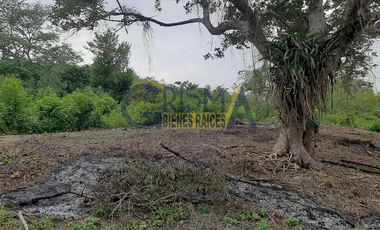 RANCHO EN VENTA EN TEMAPACHE SOBRE CARRETERA A TAMPICO