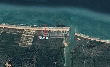 TERRENO EN VENTA PLAYA TAMIAHUA