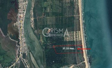 TERRENO EN VENTA PLAYA TAMIAHUA