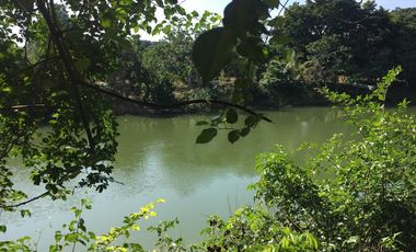 PRECIOSO TERRENO EN VENTA FRENTE AL ESTERO DE JUANA MOZA, TUXPAN, VER.
