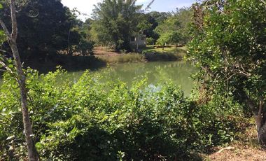 PRECIOSO TERRENO EN VENTA FRENTE AL ESTERO DE JUANA MOZA, TUXPAN, VER.