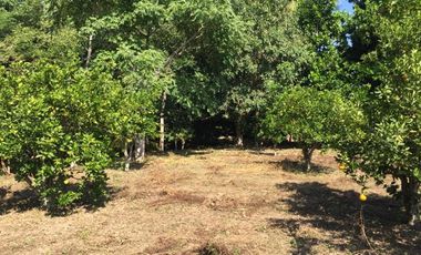 PRECIOSO TERRENO EN VENTA FRENTE AL ESTERO DE JUANA MOZA, TUXPAN, VER.