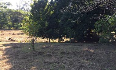 PRECIOSO TERRENO EN VENTA FRENTE AL ESTERO DE JUANA MOZA, TUXPAN, VER.