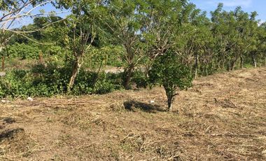 PRECIOSO TERRENO EN VENTA FRENTE AL ESTERO DE JUANA MOZA, TUXPAN, VER.