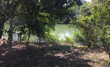PRECIOSO TERRENO EN VENTA FRENTE AL ESTERO DE JUANA MOZA, TUXPAN, VER.