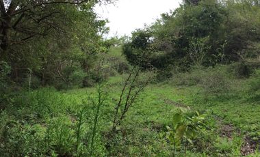 RANCHO EN VENTA EN TAMIAHUA, VERACRUZ