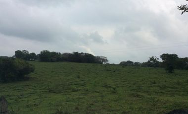 RANCHO EN VENTA EN TAMIAHUA, VERACRUZ