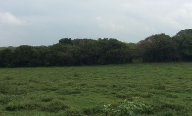 RANCHO EN VENTA EN TAMIAHUA, VERACRUZ