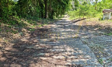 RANCHO CON TODAS LAS INSTALACIONES DE UNA  EMPACADORA DE LIMÓN.