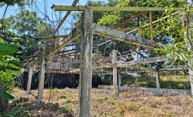 RANCHO CON TODAS LAS INSTALACIONES DE UNA  EMPACADORA DE LIMÓN.
