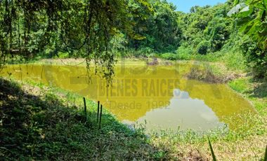 RANCHO CON TODAS LAS INSTALACIONES DE UNA  EMPACADORA DE LIMÓN.